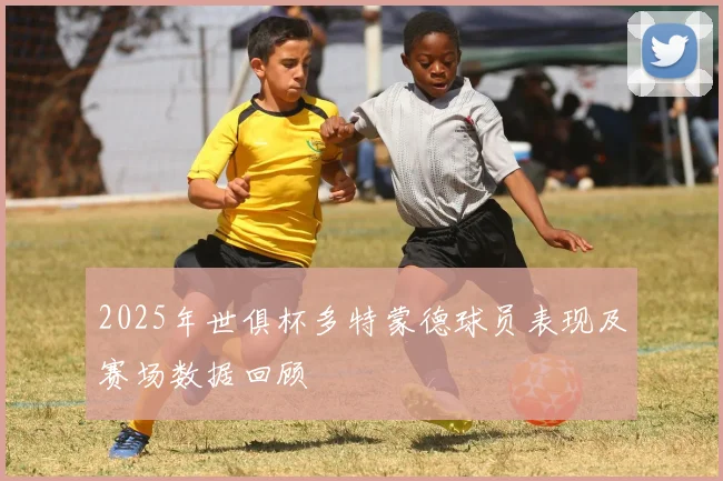 2025年世俱杯多特蒙德球员表现及赛场数据回顾