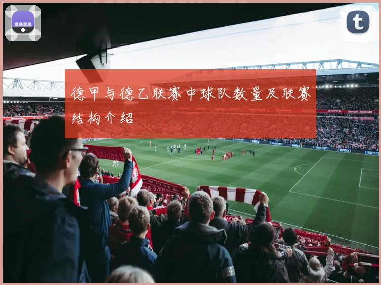 德甲与德乙联赛中球队数量及联赛结构介绍