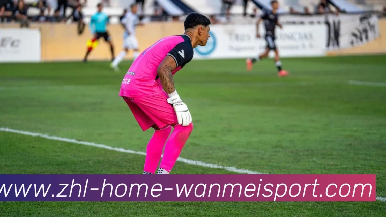 完美体育品牌故事