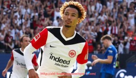 完美体育官方网站-德甲历年欧冠参赛球队名单与赛季表现对比